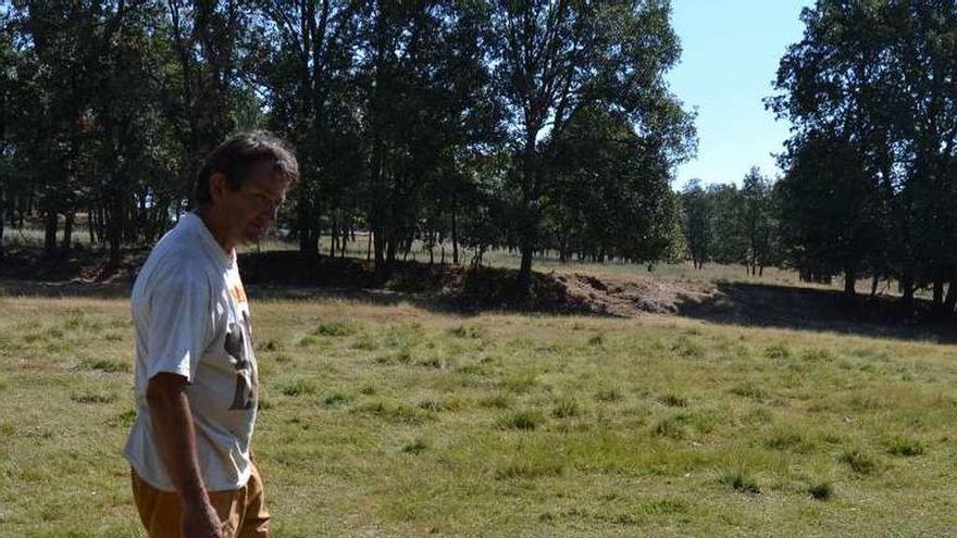 El ganadero Juan Carlos Lozano junto a una de las ovejas muertas.