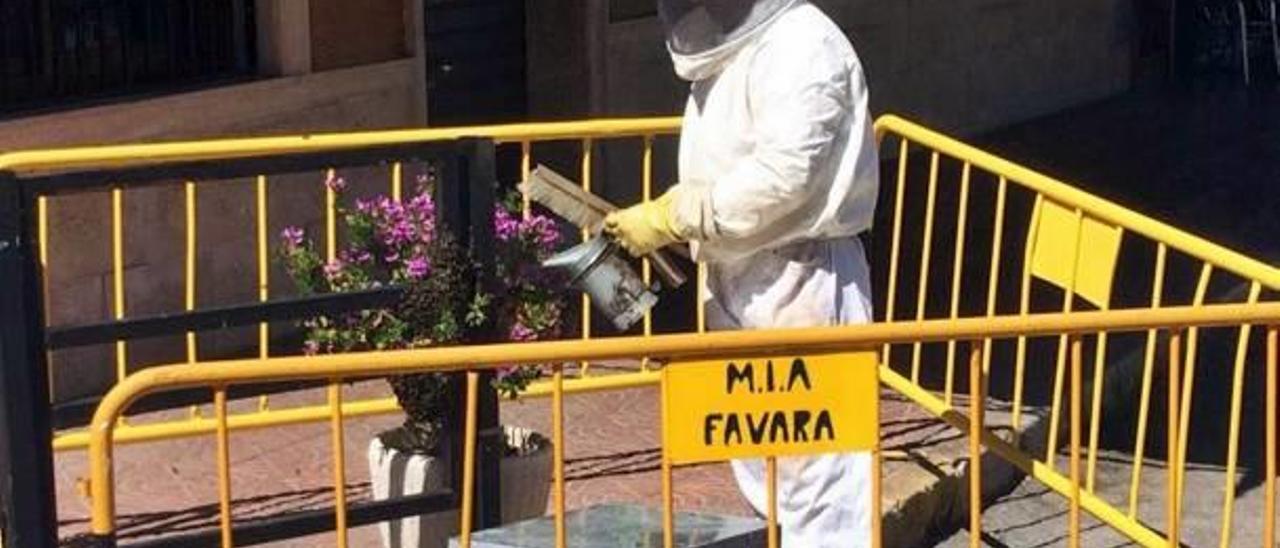 El apicultor al acudir a retirar las abejas.