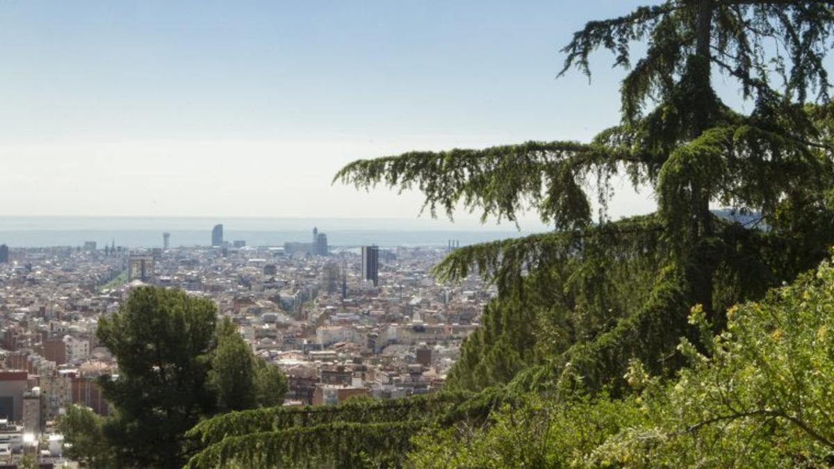 Vista de Barcelona desde una zona verde.