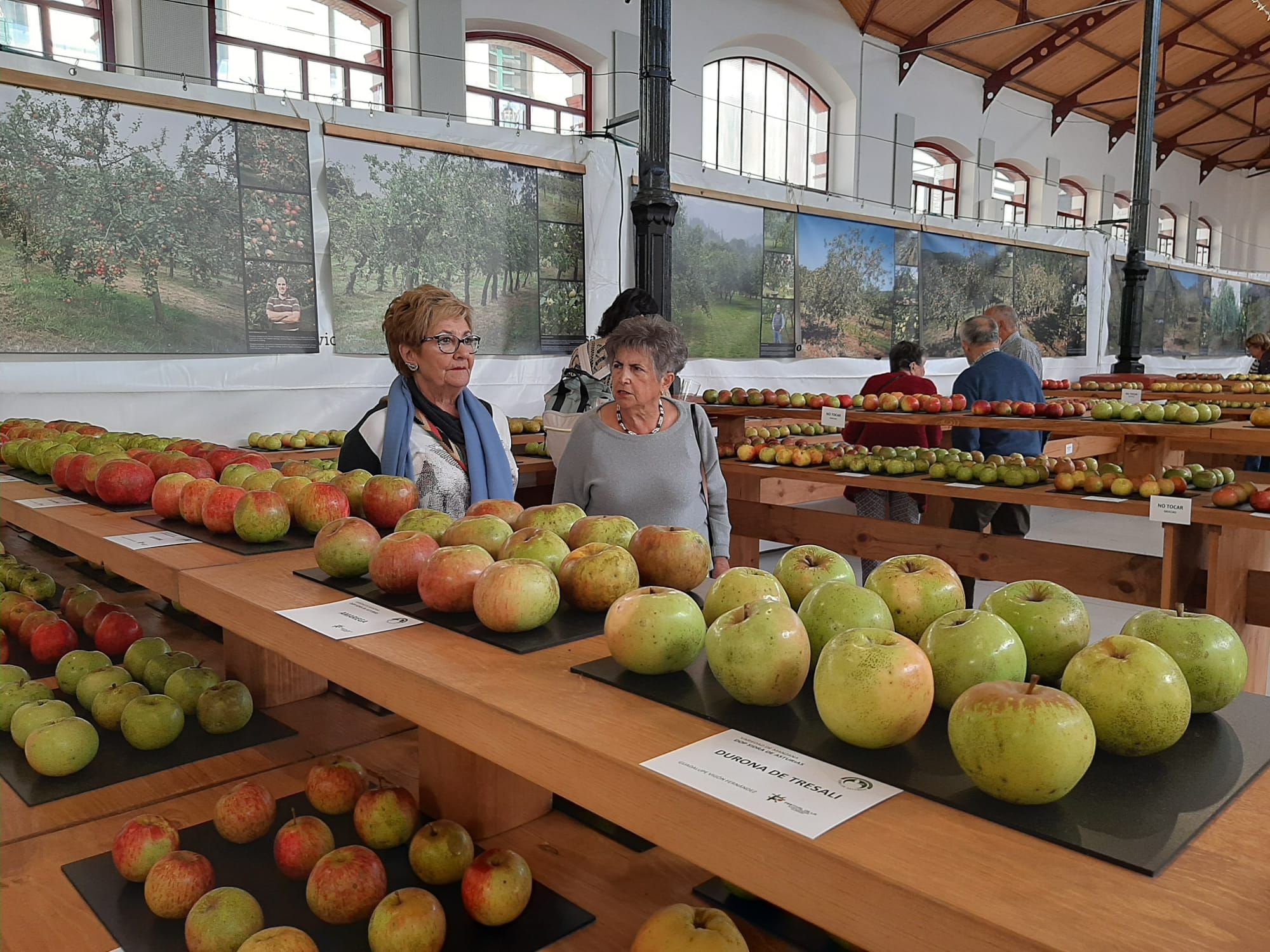 Los premios del Festival de la Manzana de Villaviciosa, en imágenes
