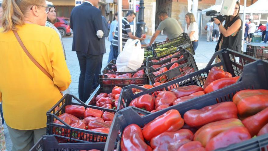 Benavente la ciudad con más ferias. En la fotografía, la afamada Feria del Pimiento.