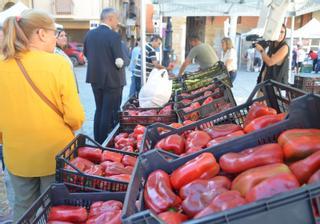 Zamora, capital del queso y lo "freak": este es el calendario de ferias