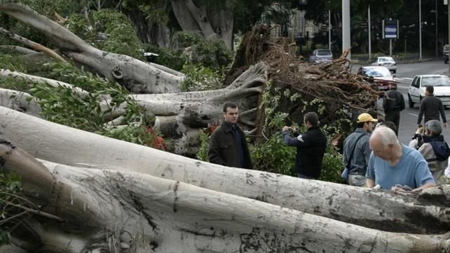 'Delta', la última tormenta tropical que pasó por Canarias en imágenes
