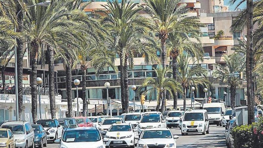 Condenan a Cort por la caída de una palmera sobre el techo de un restaurante