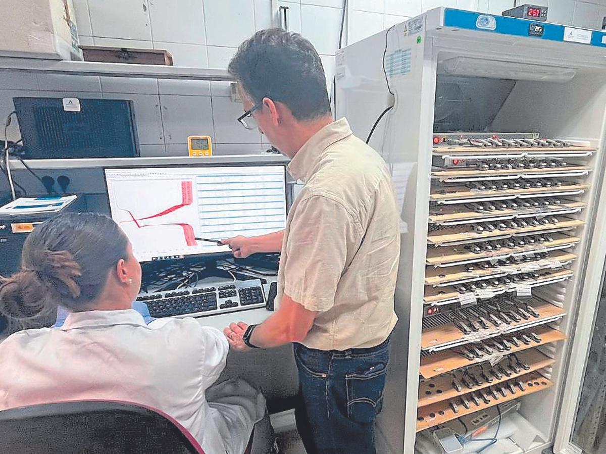 Resultados de cómo carga y descarga una celda de batería.