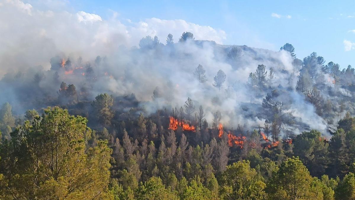 Incendio declarado en la Sierra de San Miguel, en Calasparra.