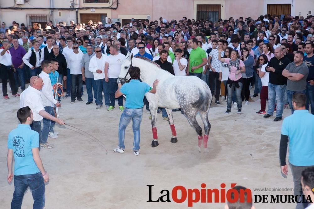 Día uno de mayo, entrada de caballos al Hoyo