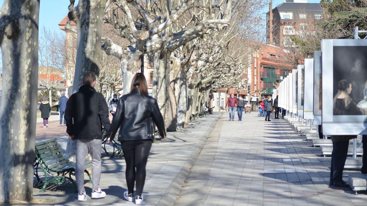 Los Paseos de la Mota estos días en que sigue expuesta la muestra de “El Prado en las Calles”. | E. P.