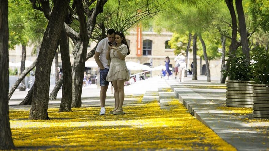 Una pareja pasea por La Barceloneta.