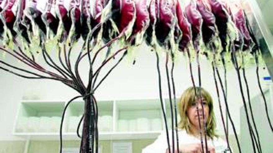 Una campaña anima a matronas y madres a donar el cordón umbilical