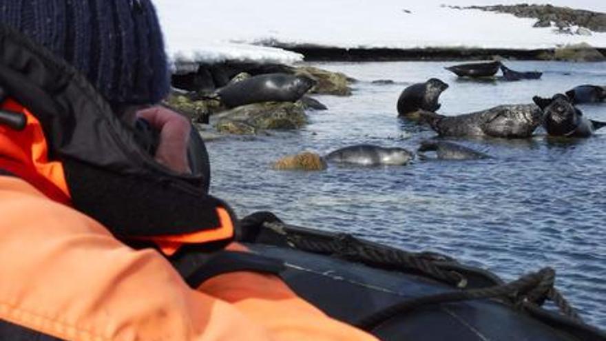 Spitsbergen, o Gardián do Ártico