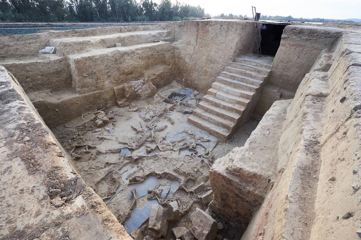 Escaleras y cadáveres de caballos encontrados en el yacimientos Casas del Turuñuelo, en Guareña.