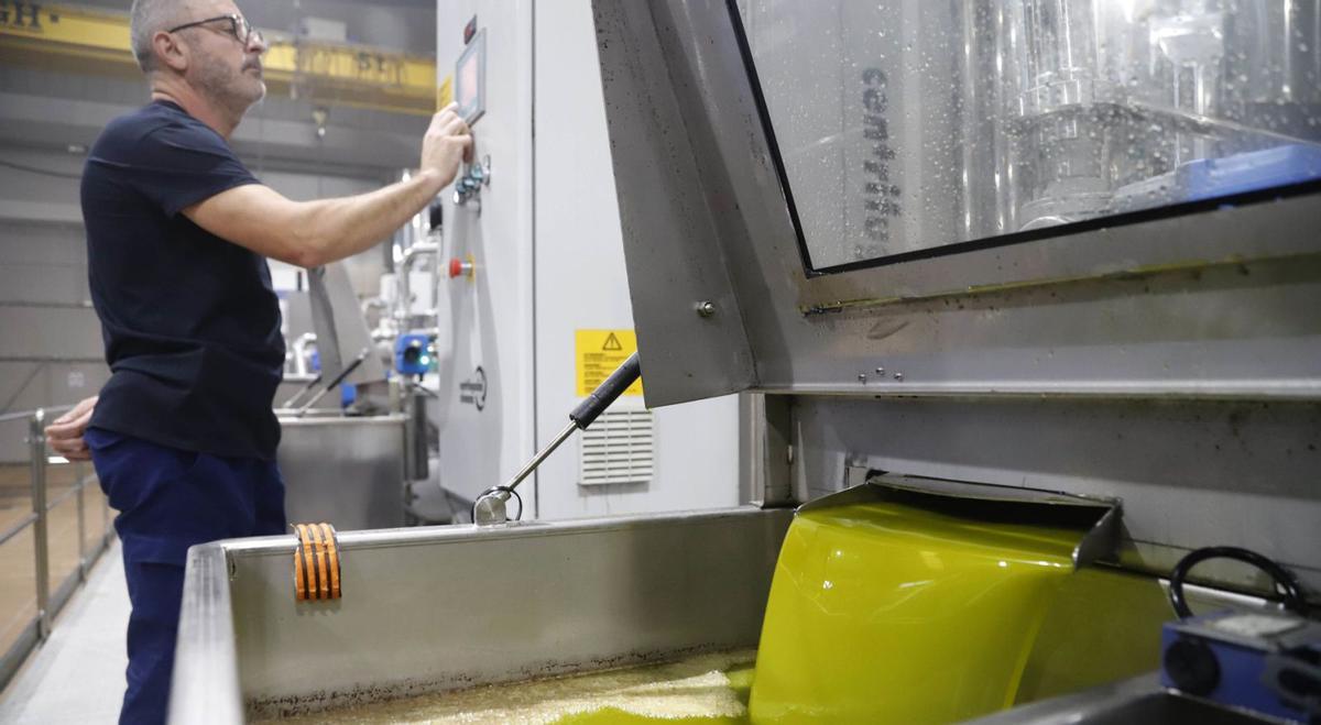 El precio del aceite virgen extra en origen baja en España de los 4 euros