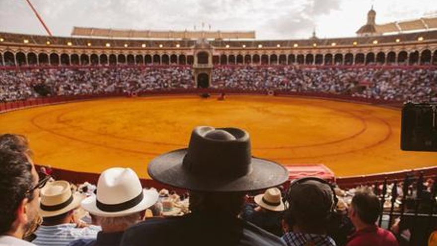Tardes de soledad