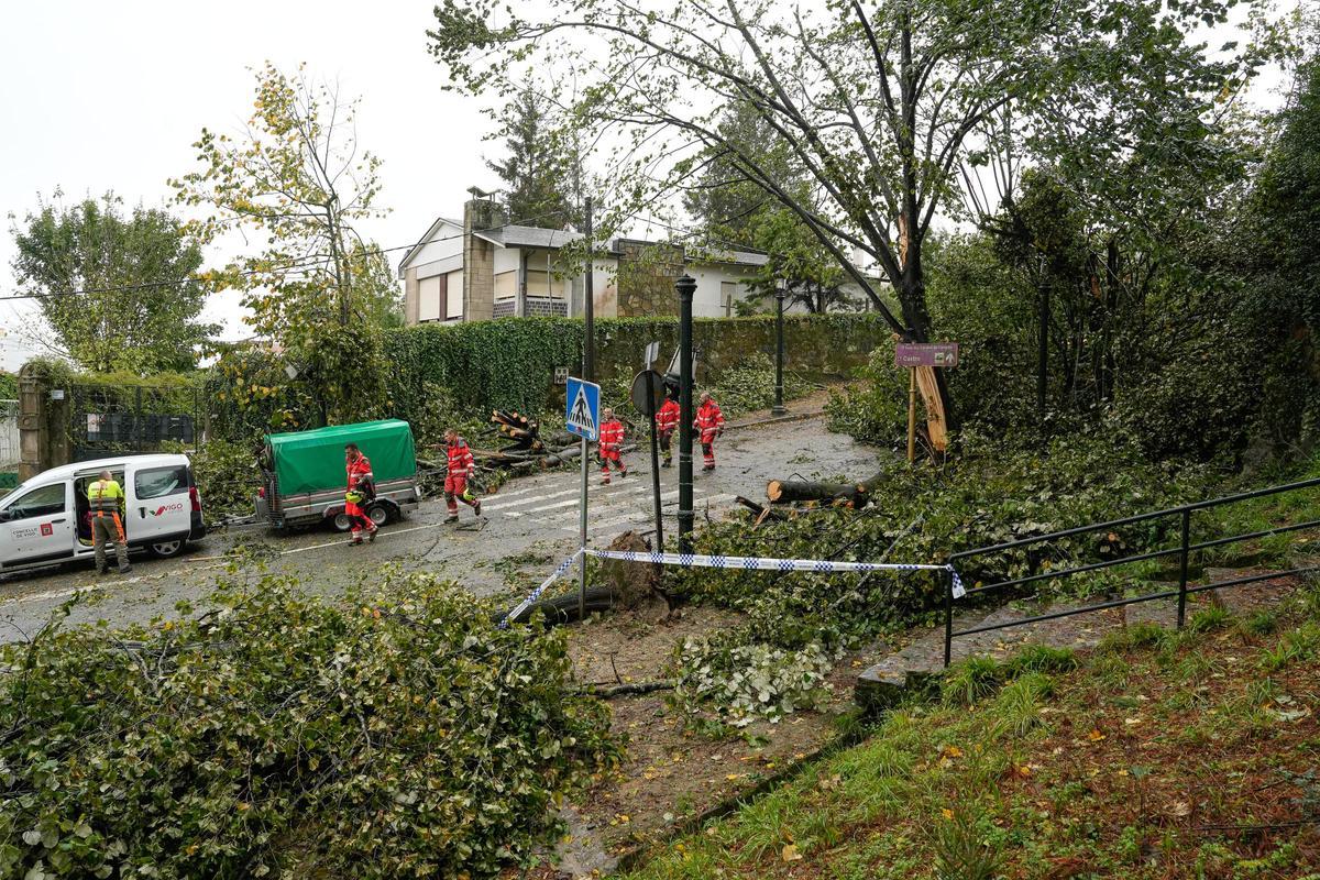 Retirada de árboles caídos en O Castro, en Vigo.