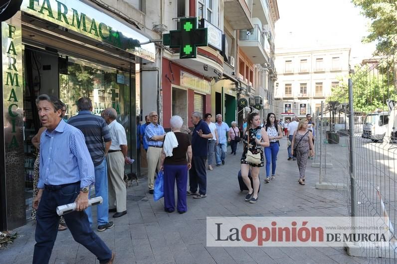 El día después de la caída de la rama del ficus de