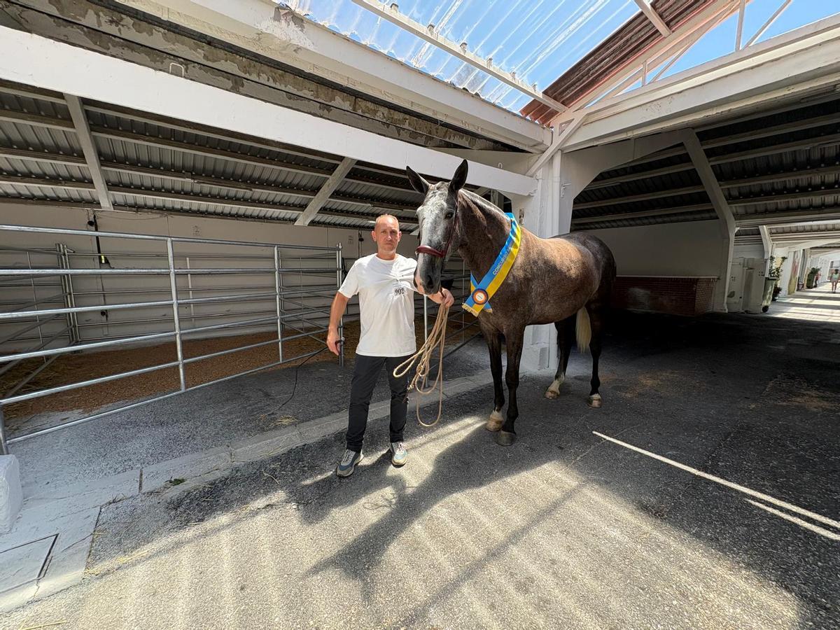 Tineo reúne a los mejores ejemplares de pura raza española y cruzados en su concurso caballar