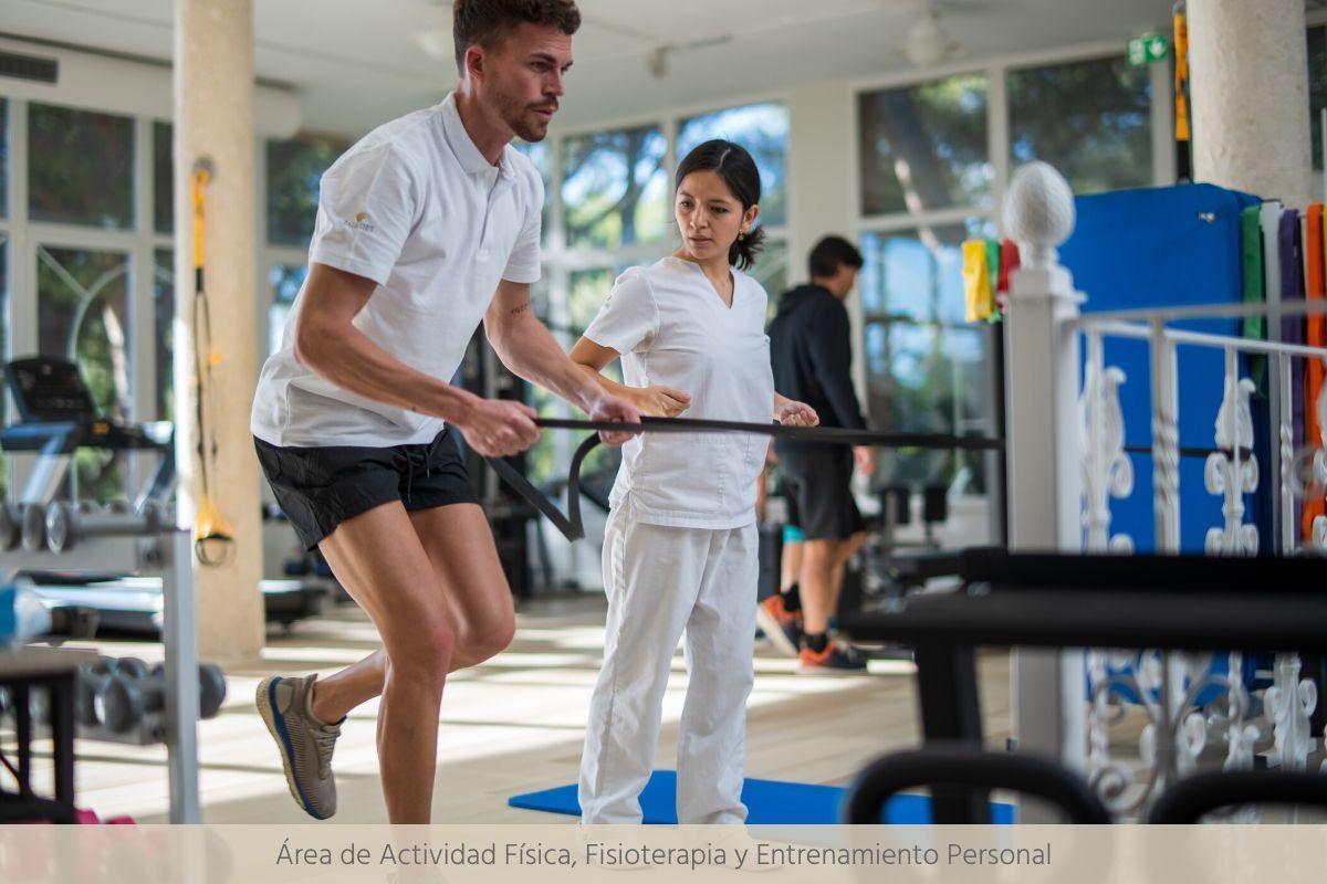 Área de Actividad Física, Fisioterapia y Entrenamiento Personal