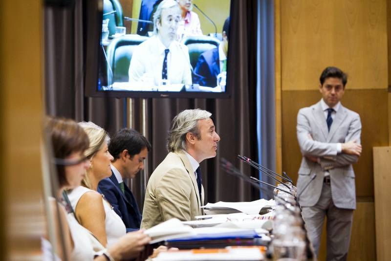 Fotogalería del pleno municipal sobre el cambio de nombre del pabellón Príncipe Felipe