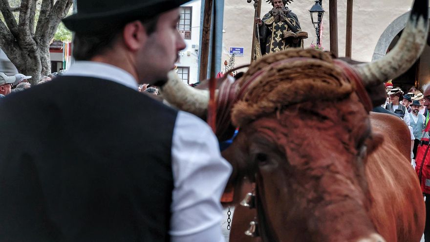 Kickstarting Tenerife’s Pilgrimage Season: Arona and Tigaiga Lead the Way