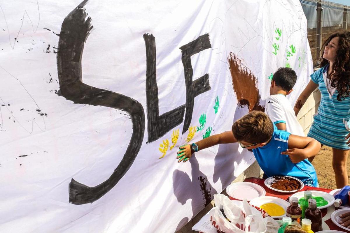 Un rebaño de ovejas recorren la antigua vía pecuar