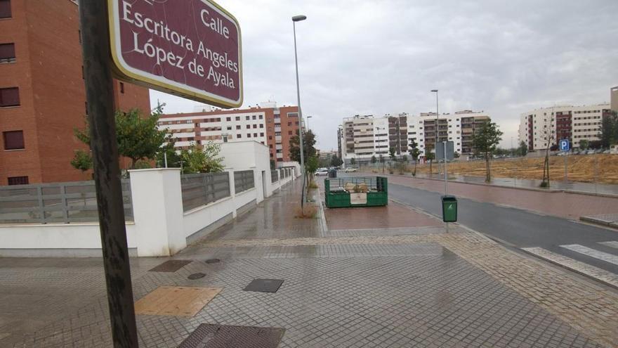 La Policía detiene a un hombre en Córdoba por presuntos malos tratos