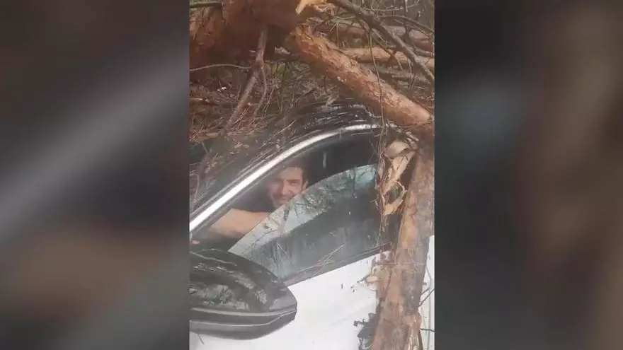 El temporal tumba un árbol sobre un coche en Nules y atrapa a su conductor dentro