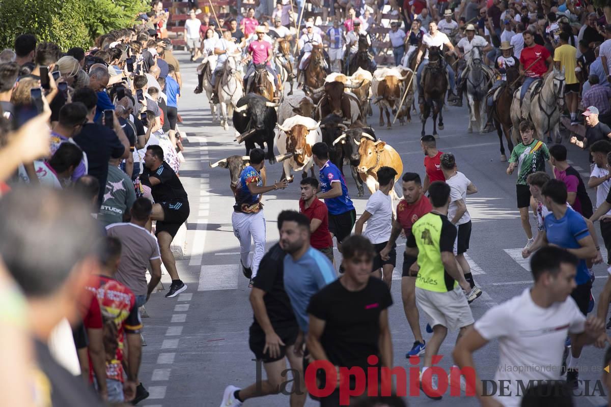 Quinto encierro de las Fiestas de Moratalla