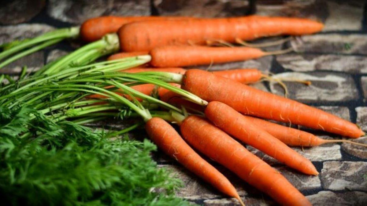 Así son las bolas dulces de zanahoria sin horno, sin harina, bajas en calorías, muy saludables y en pocos minutos