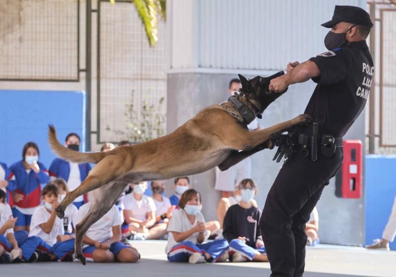 Presentación de la nueva cachorra del grupo de guías caninos de la Policía Local de Santa Cruz de Tenerife