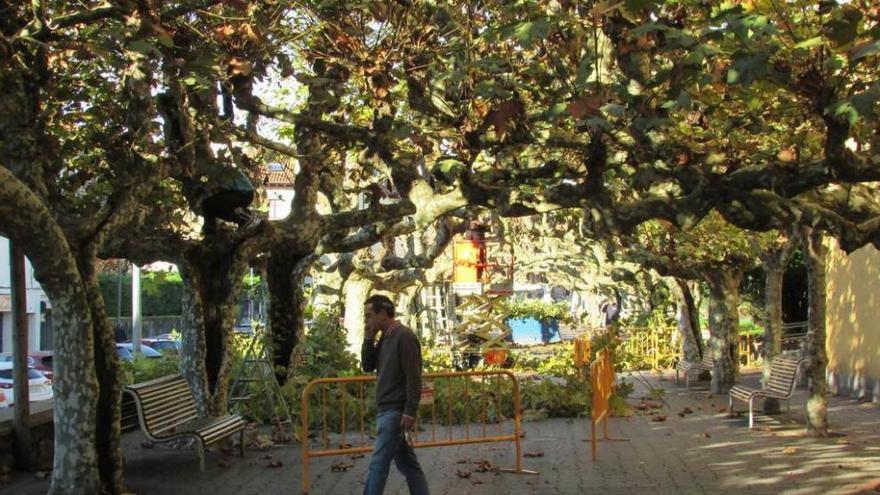 Las labores de poda en el parque, ayer.