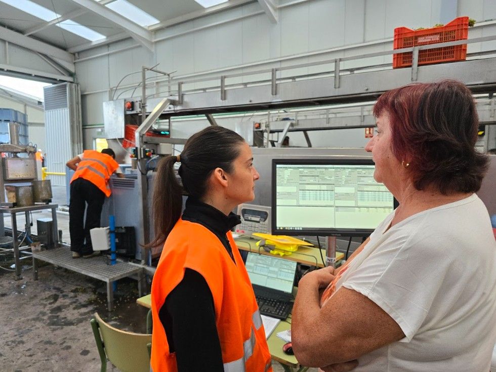 La vendimia en la subzona productora Val do Salnés.