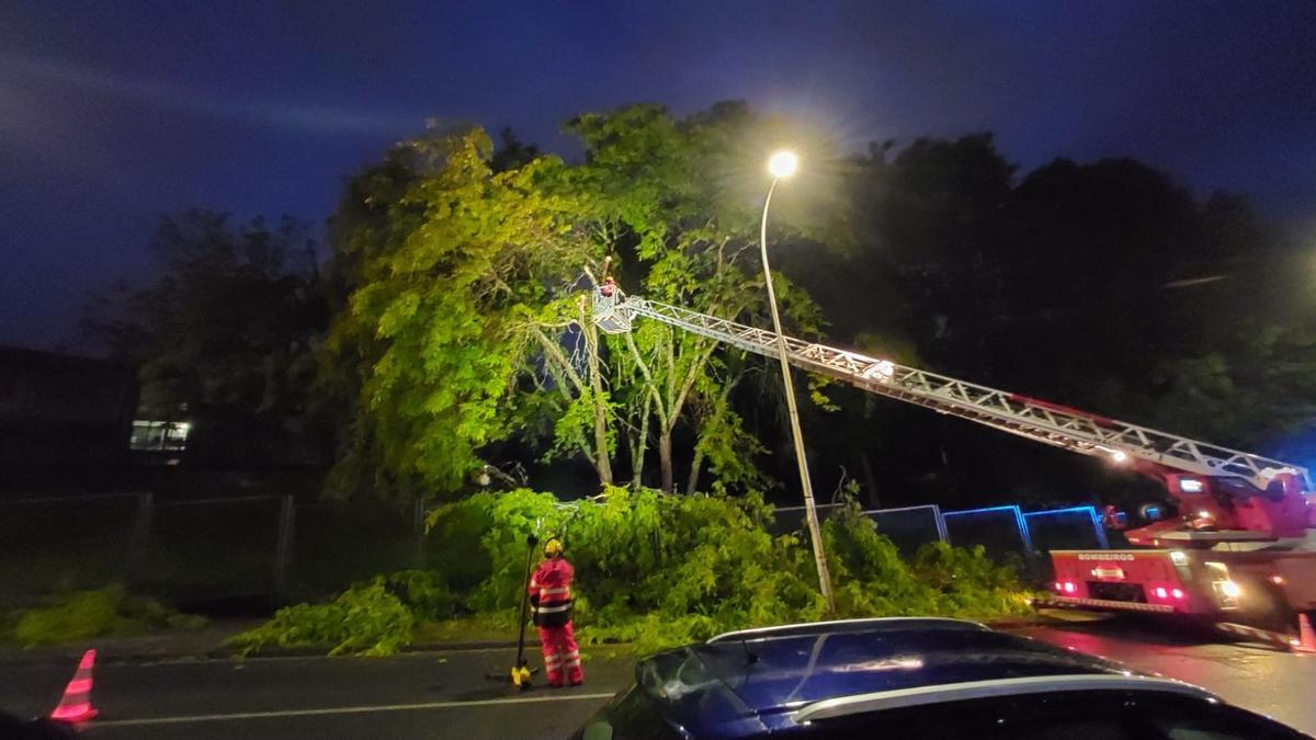 Trabajos de los Bomberos en el CEIP Marcos da Portela