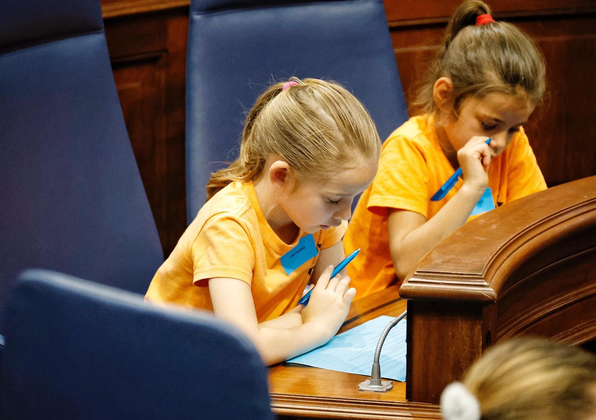 Escolares en el Parlamento de Canarias