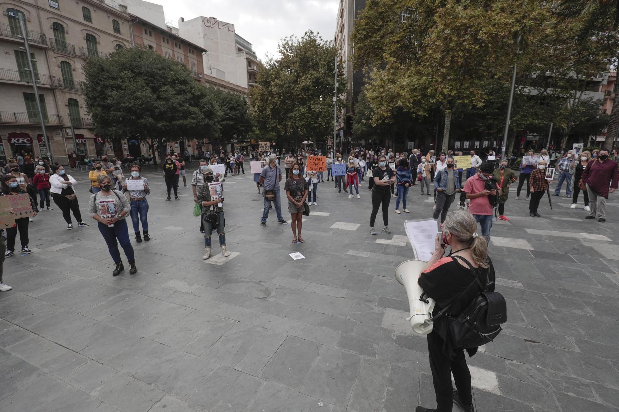 Palma celebra la Fira del Llibre