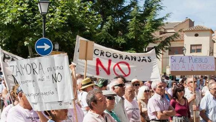 Miembros de la plataforma de Carbajales en la protesta de Tábara.