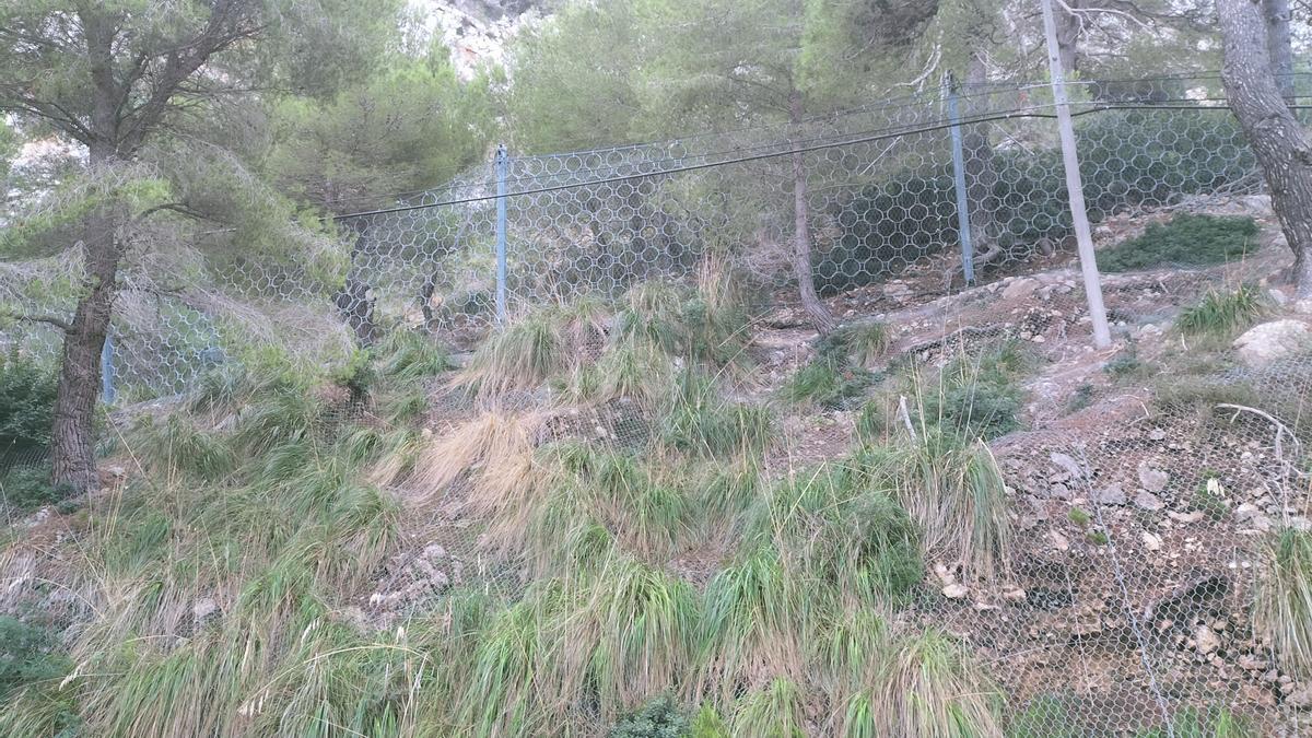 Las autoridades visitan las obras de contención de los taludes en la carretera de Formentor.