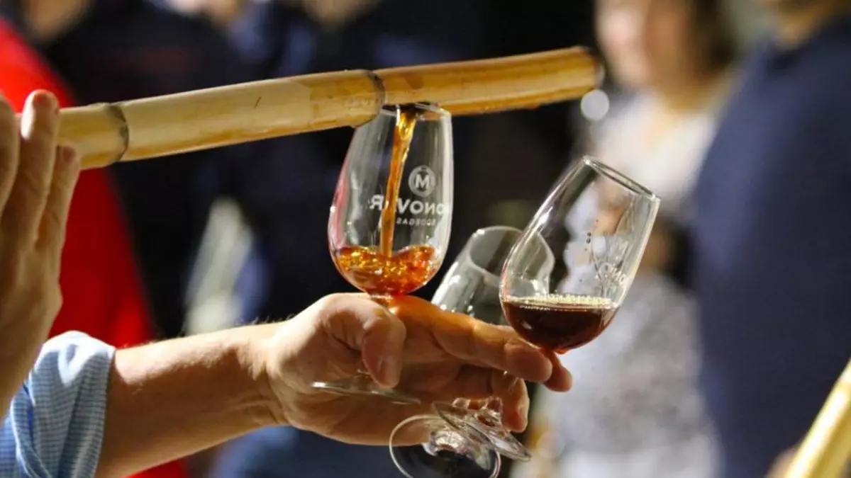 Enoturismo en Alicante: así es la ruta que fusiona vinos DOP, gastronomía y naturaleza