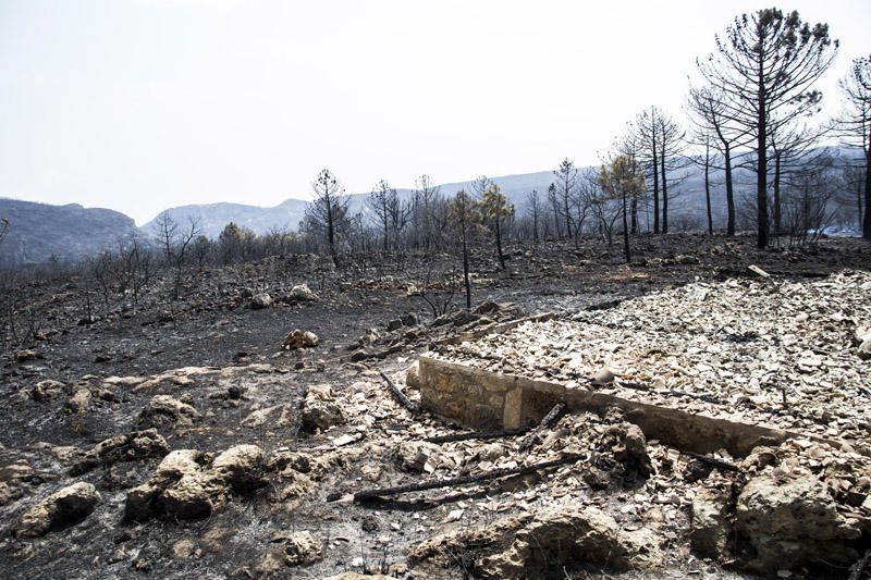 El paraje de El Surar, arrasado por el incendio