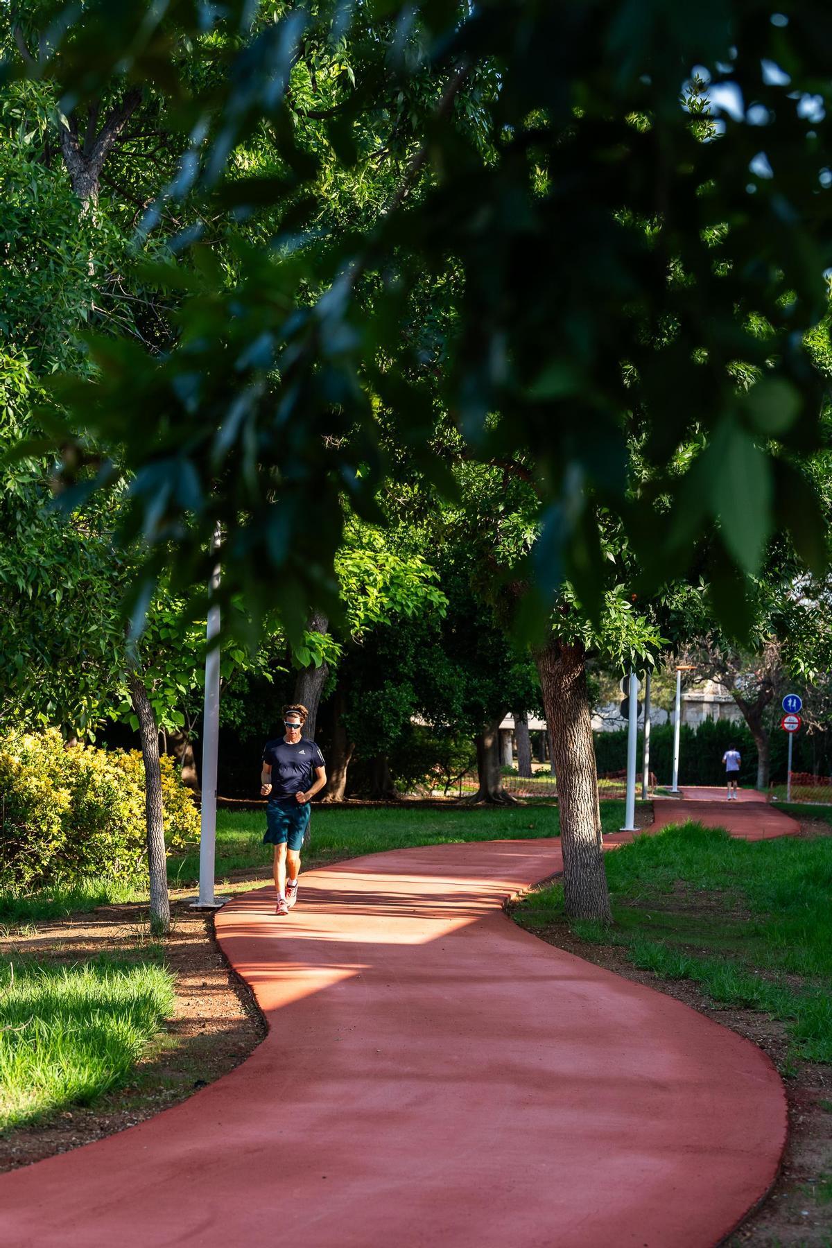 El Circuito VCR, en su Tramo XII en el Jardín del Turia.