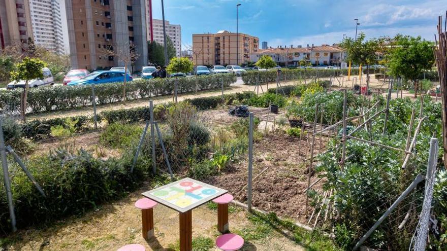 Huertos urbanos de Benidorm.