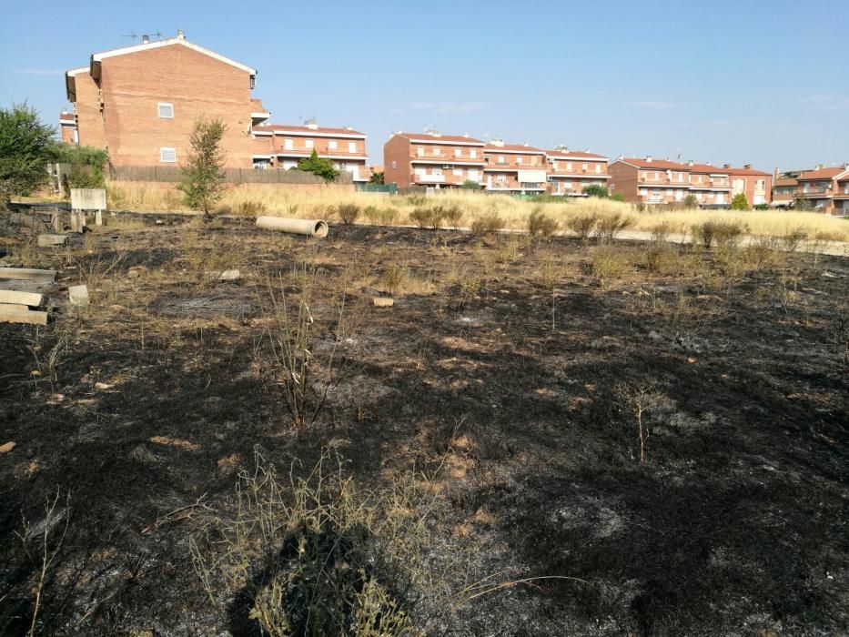 El desolador paisatge després del foc