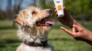 Crema solar para perros 