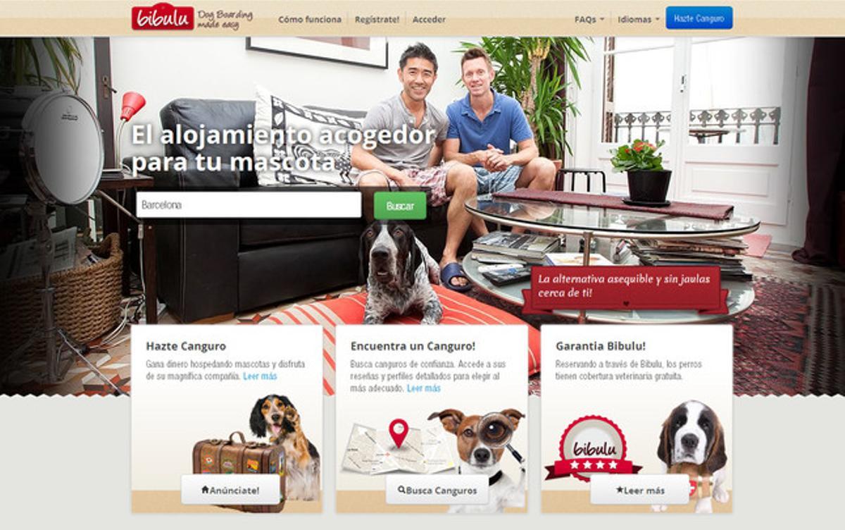 Nova alternativa a les residències canines Nova alternativa a les residències canines