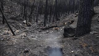 Continúan los trabajos en el incendio de Sierra Bermeja para liquidar puntos calientes