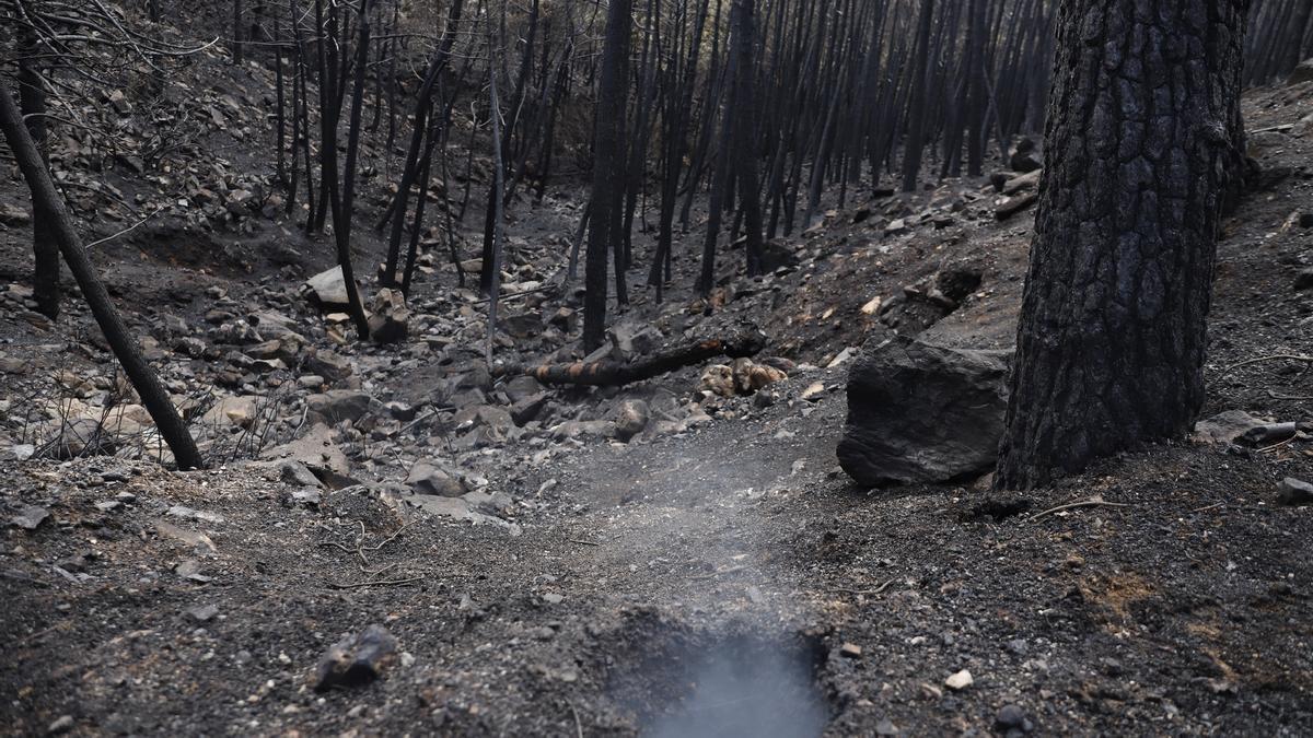 El Paraje de las Peñas Blancas en Estepona arrasado por el fuego