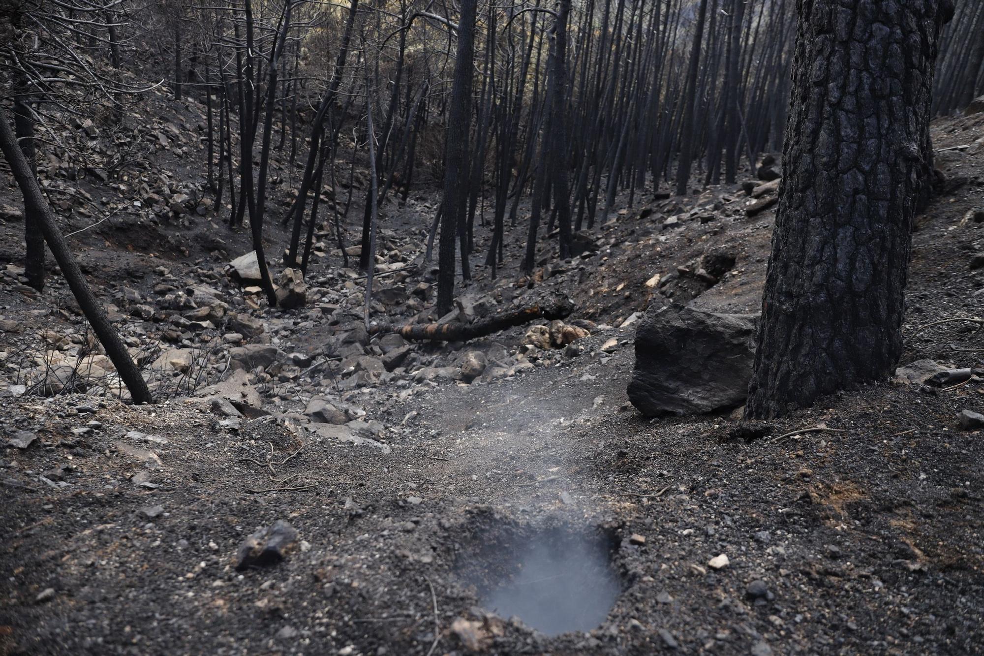 El Paraje de las Peñas Blancas en Estepona arrasado por el fuego