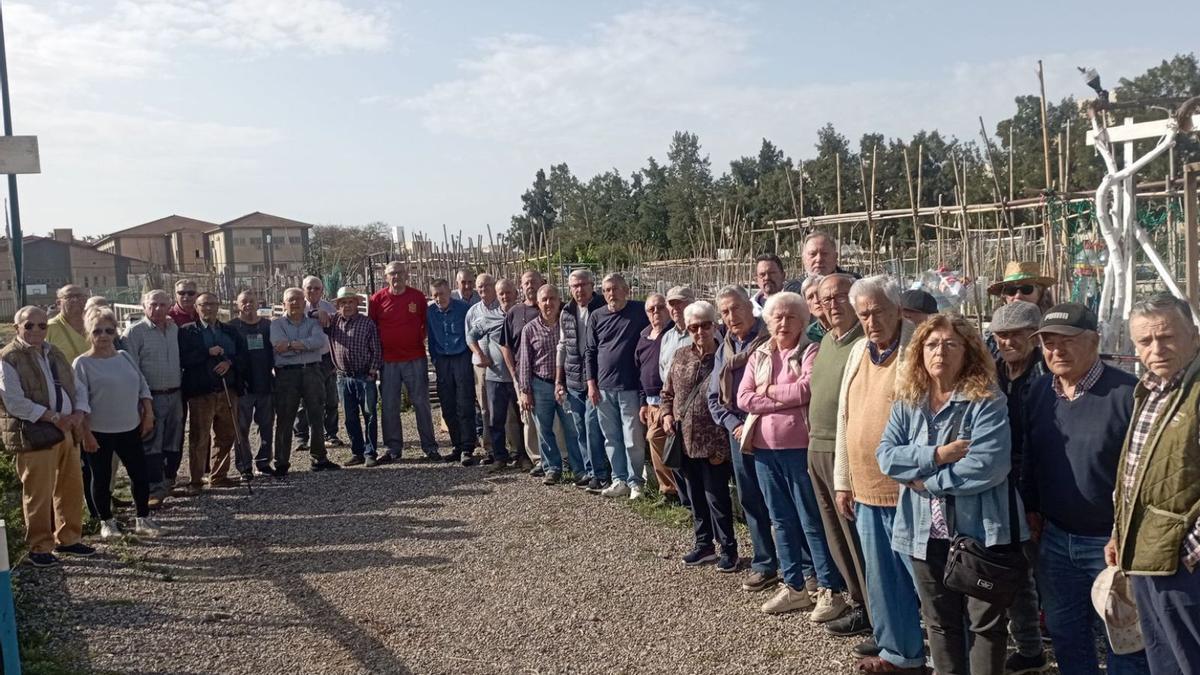 Los socios del huerto urbano se muestran preocupados por la actitud del Ayuntamiento.2. Una socia, en pleno trabajo este mes.3. Manuel Montiel contempla su huerto, en el que está empezando a plantar tomates.4. Cada huerto tiene 27 metros cuadrados.