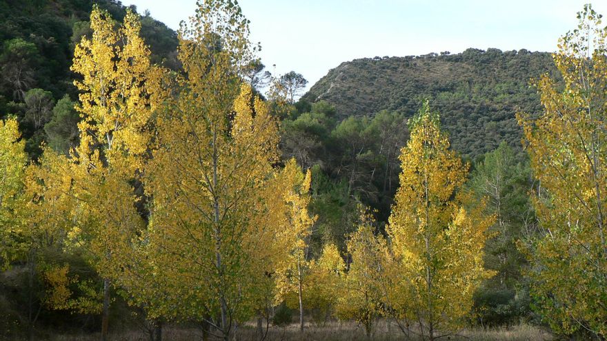 Interpretar la emoción del paisaje