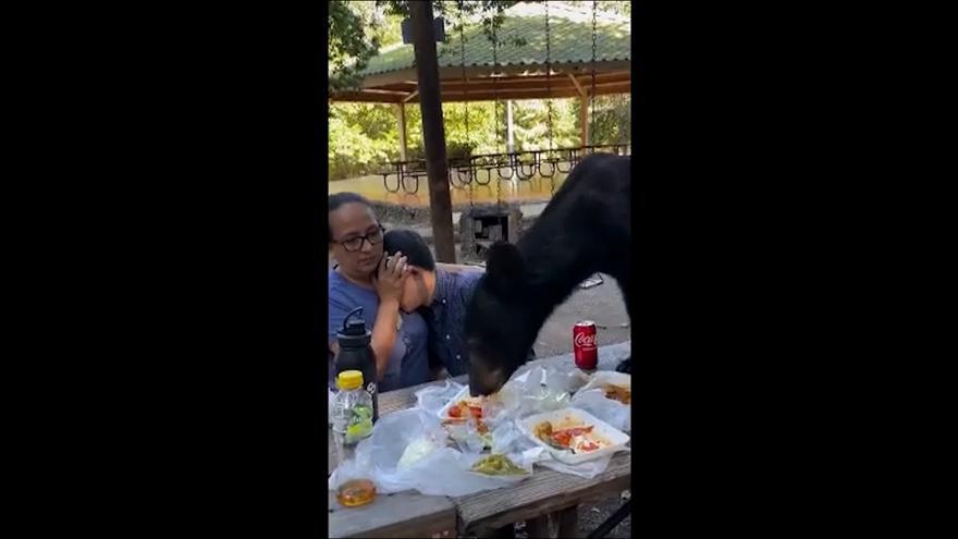 Momentos de pánico cuando un oso ataca a una familia